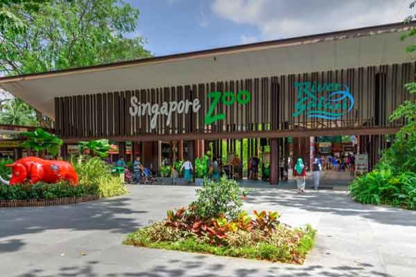 Kebun Binatang Singapura