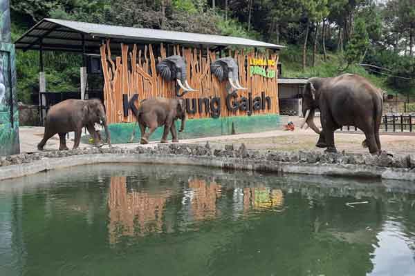 jam buka lembang park and zoo