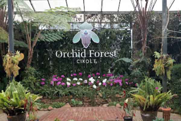 jam buka orchid forest