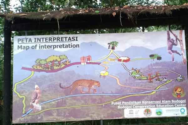 Pusat Pendidikan Konservasi Alam Bodogol Bogor
