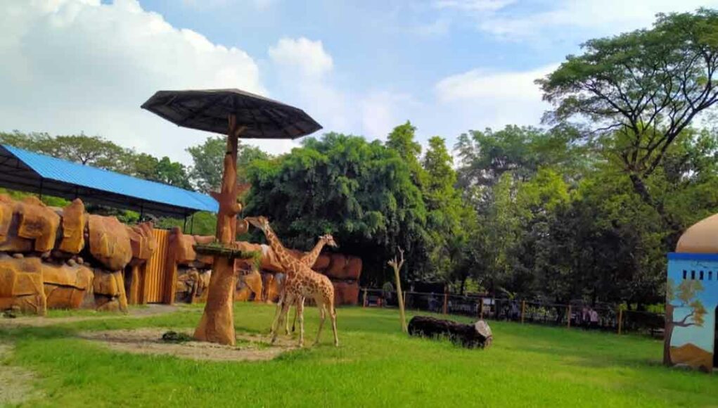 kebun binatang surabaya
