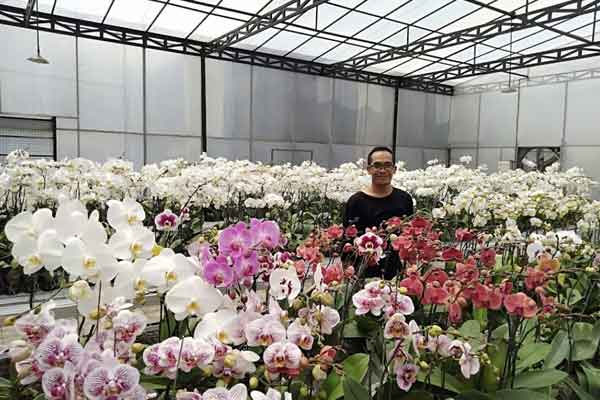 tips berkunjung bali orchid garden