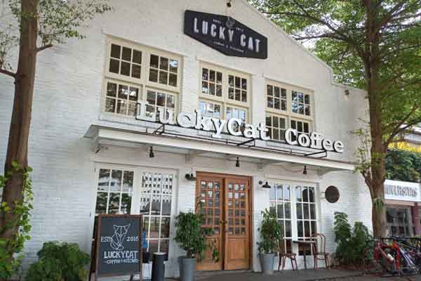 lucky cat cafe